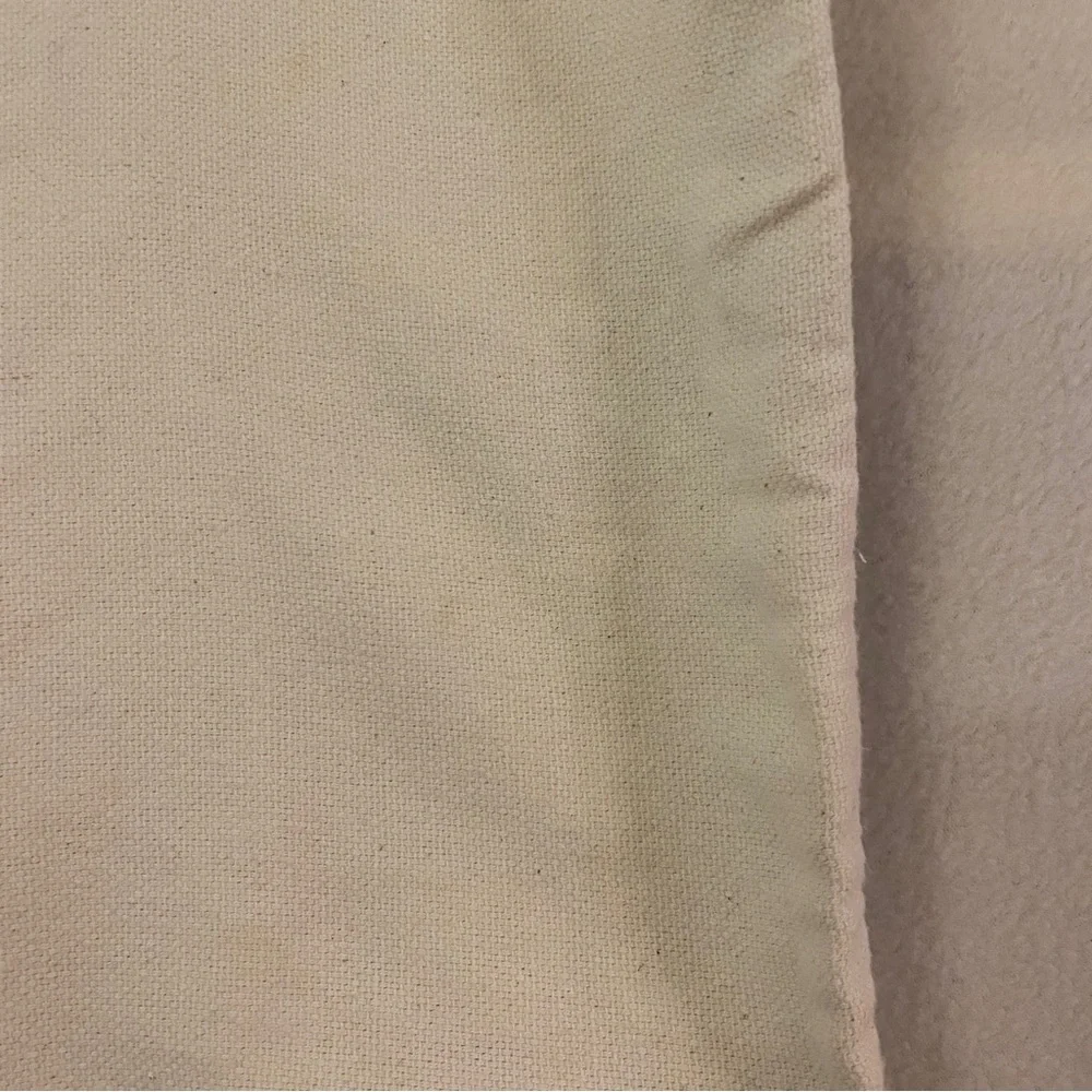 Set of 2 Pottery Barn Paisley Pillow Covers in Light Blue and Cream